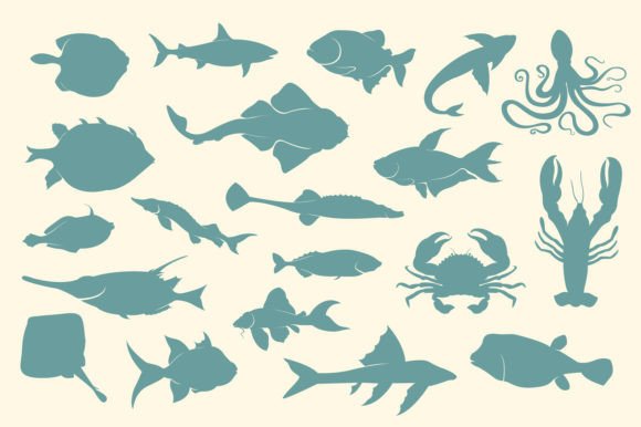 Download Sea Animal Silhouette Vector Set - Anima Collection
