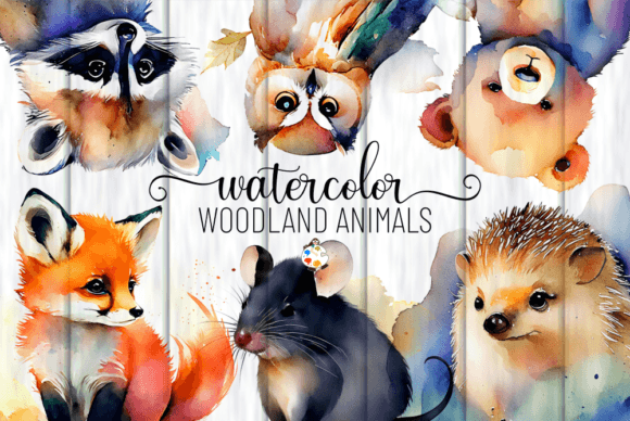 Download Woodland Animals - Watercolor Clipart - Anima Collection