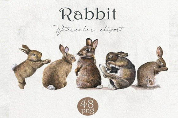 Download Watercolor Rabbit, Forest Animals PNG - Anima Collection