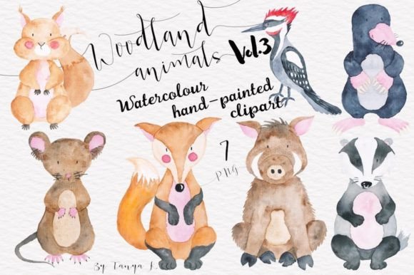 Download Watercolor Cute Woodland Animals - Anima Collection