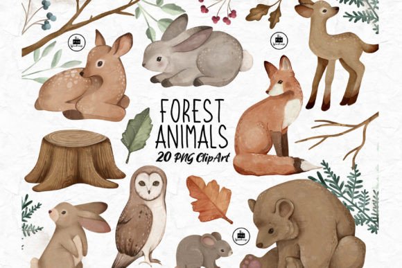 Download Forest Animals - PNG Clipart Set - Anima Collection