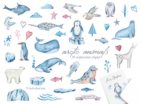 Download Watercolor Arctic Animals Clipart - Anima Collection