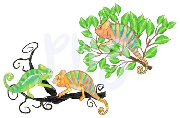 Download Chameleon Leaves Nature Png Animal Art - Anima Collection