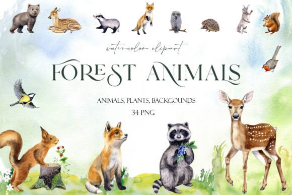 Download Watercolor Set Cute Woodland Animals Png - Anima Collection