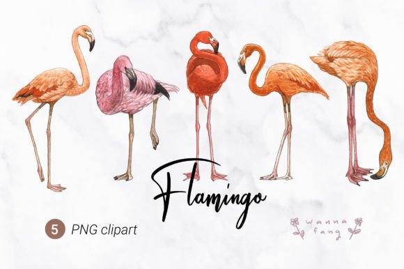 Download Flamingo Watercolor Animal Clipart, PNG - Anima Collection