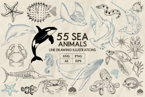 Download Sea Animals Line Art Collection Svg Png - Anima Collection