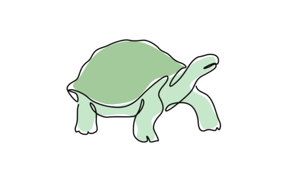 Download Animated Sea Turtle Continuous Line Art - Anima Collection