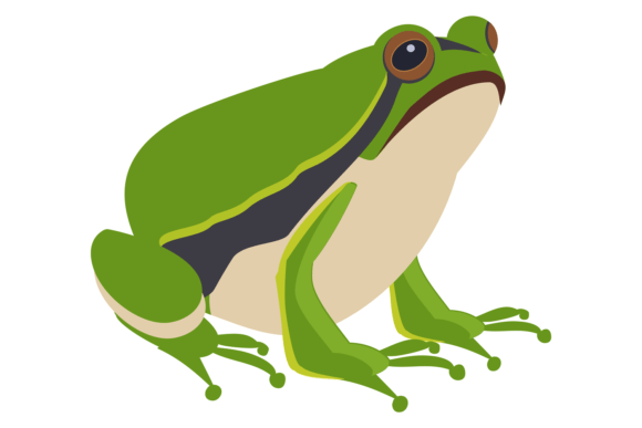 Download Green Frog. Sitting Amphibia. Wild Anima - Anima Collection