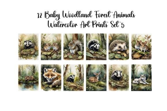 Download Baby Woodland Forest Animals Set 5 - Anima Collection