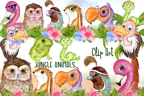 Download Tropical Birds Cute Safari Animals - Anima Collection
