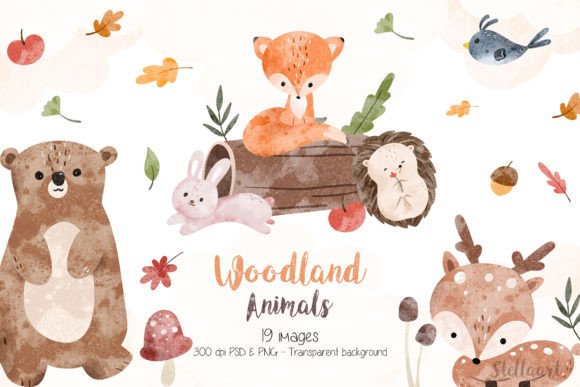 Download Watercolor Woodland Animals - Anima Collection