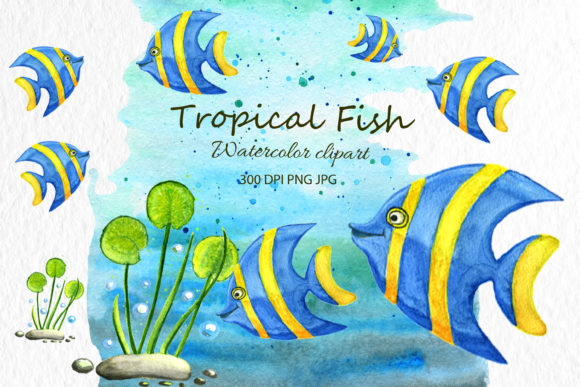 Download Animal Clip Art Fish Watercolor Animal - Anima Collection