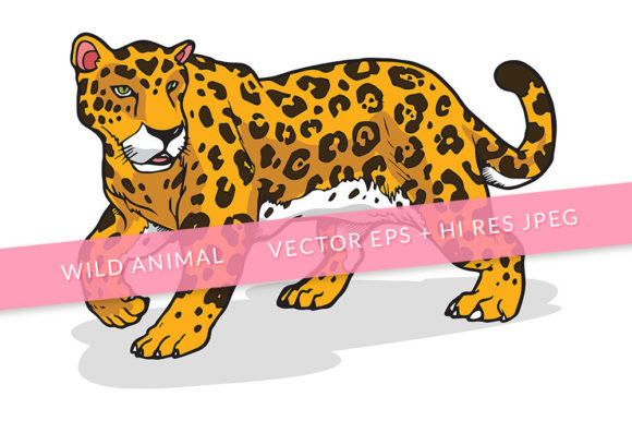 Download Jaguar Animal Illustration - Anima Collection