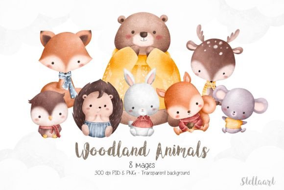 Download Watercolor Woodland Animals Character - Anima Collection