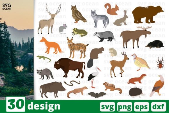 Download 30 Forest Animal Designs Bundle - Anima Collection