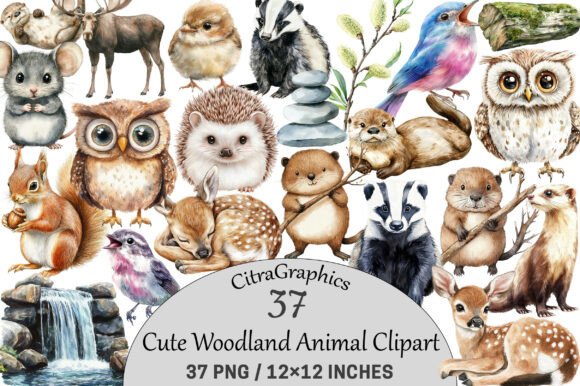 Download Cute Woodland Animal Clipart. - Anima Collection