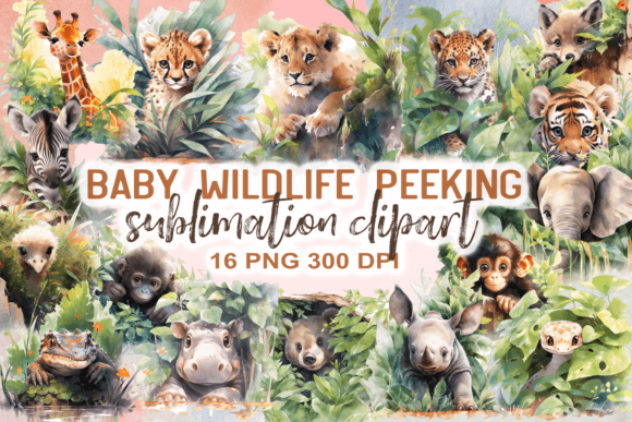 Download Baby Wildlife Animal Peeking Clipart - Anima Collection
