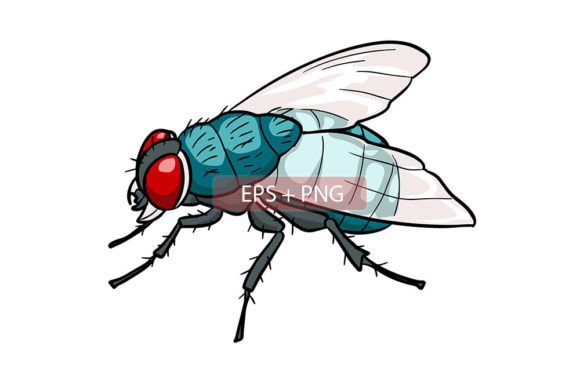 Download Flies Insect Animal Illustration - Anima Collection