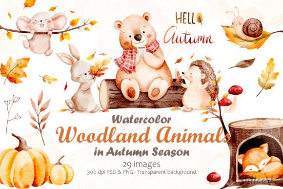 Download Watercolor Woodland Animals in Autumn - Anima Collection