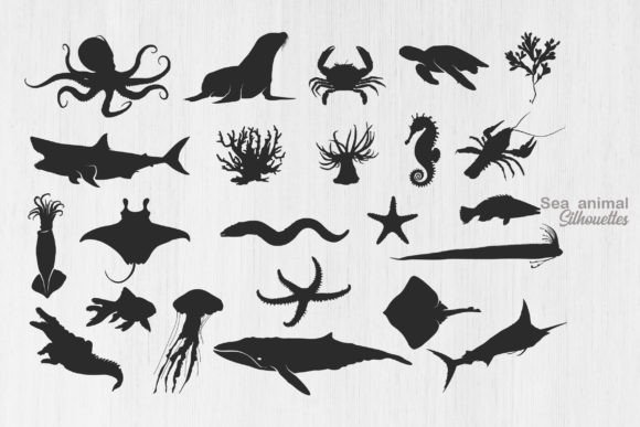 Download Sea Animal Silhouette, Ocean Animal SVG - Anima Collection