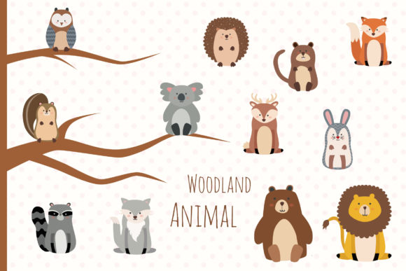 Download Animal Hand Drawn - Anima Collection