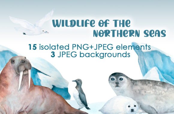 Download Watercolor Arctic Animals Clipart - Anima Collection
