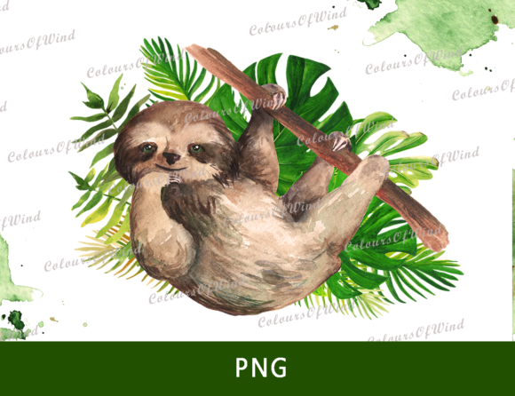 Download Sloth Sublimation, Jungle  Animals PNG - Anima Collection