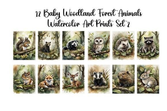Download Baby Woodland Forest Animals Set 2 - Anima Collection