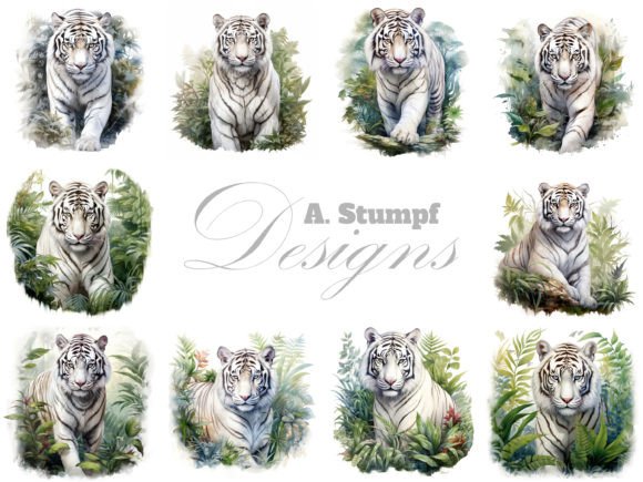 Download White Tiger Watercolor Animal Clipart - Anima Collection