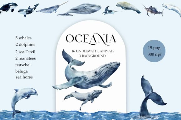 Download Watercolor Whales Sea Animals Dolphin - Anima Collection