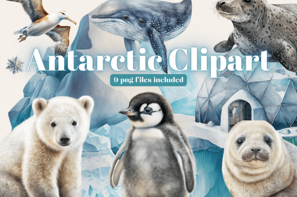 Download Arctic Animals Watercolor Clipart - Anima Collection