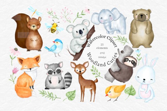 Download Cute Watercolor Woodland Animals Clipart - Anima Collection