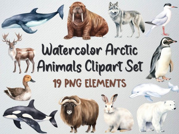Download Watercolor Arctic Animals Clipart Set - Anima Collection