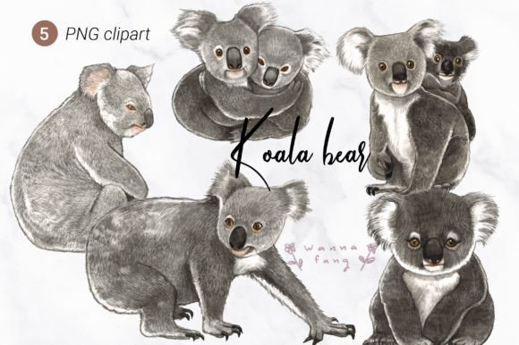 Download Koala Bear Watercolor Animal Clipart, PN - Anima Collection