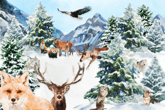 Download Watercolor Winter Animals Clipart - Anima Collection